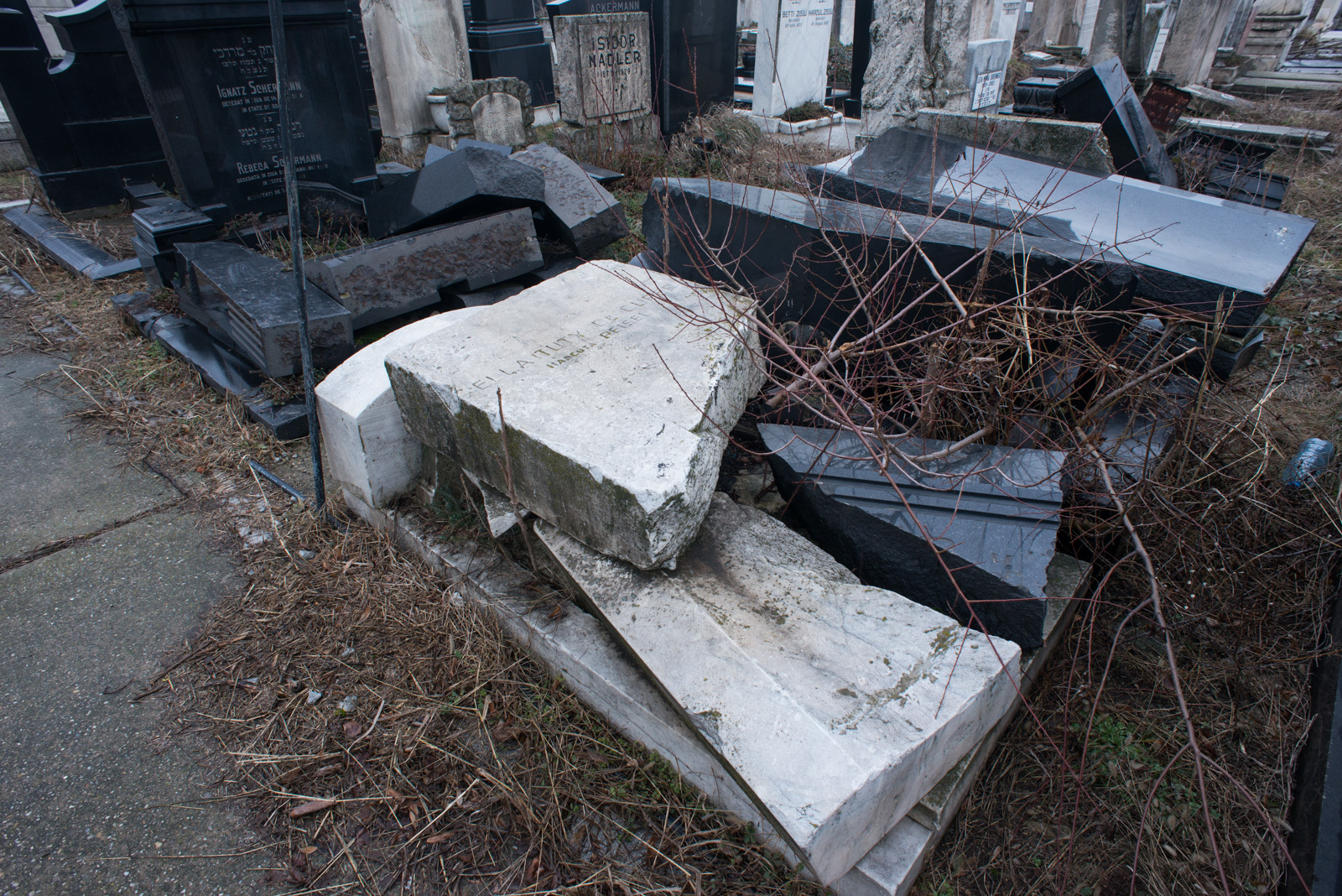 Az enyészeté lett Bukarest közepén a zsidó temető
