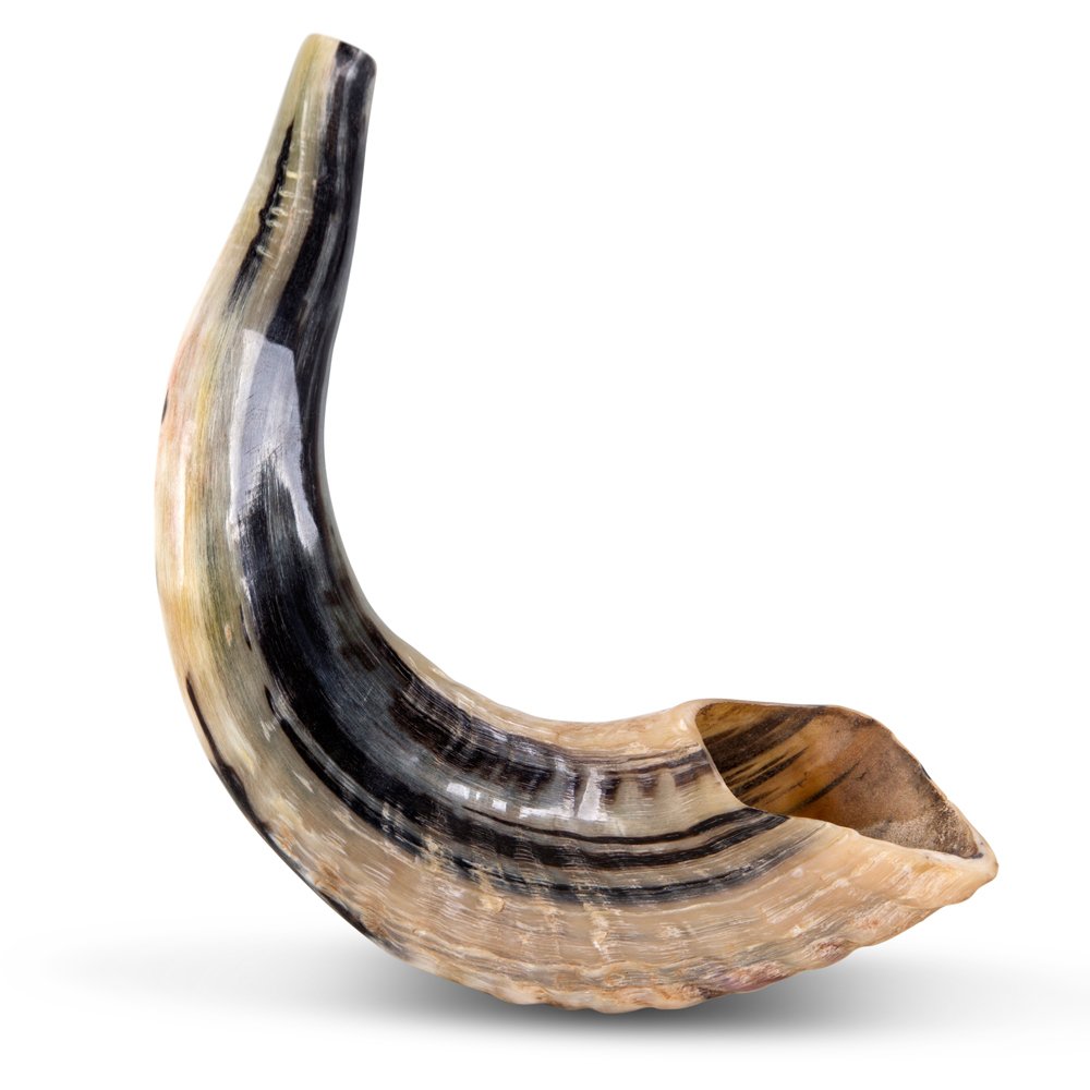 classical-rams-horn-shofar-small-natural-sm-30-35-n_large