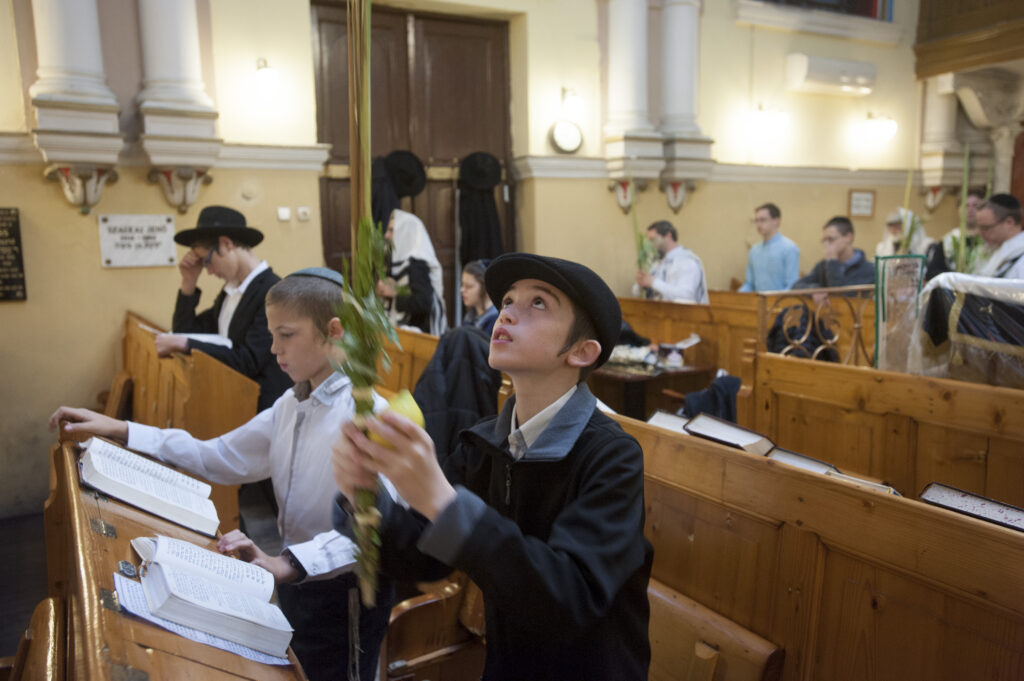 Mádi Rabbiház megnyitó 2016.07.21.