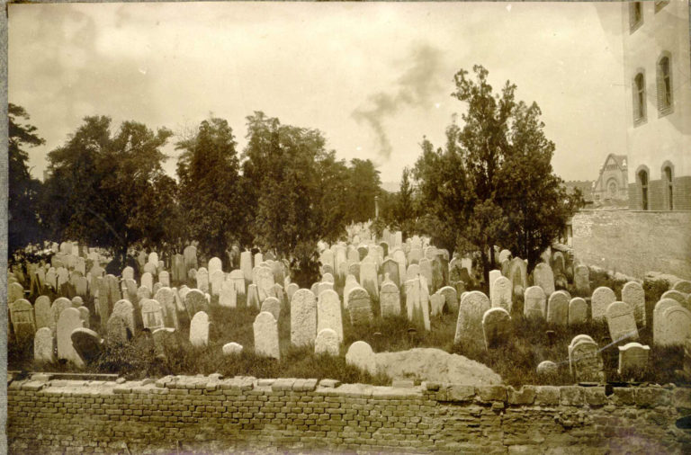 Nyüzsgő élet a halál csendes kertje helyén – Mozaikok az egykori Váci úti zsidó temetőből