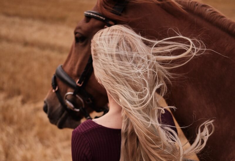 woman in black knit sweater holding brown horse