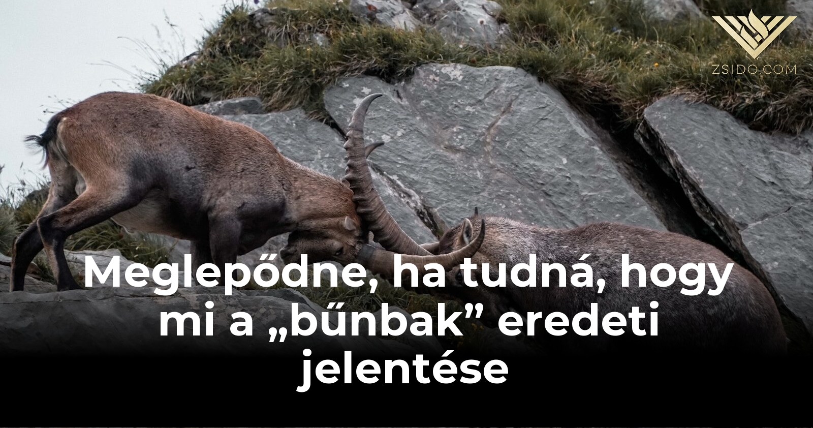 Meglepődne, ha tudná, hogy mi a „bűnbak” kifejezés eredeti jelentése