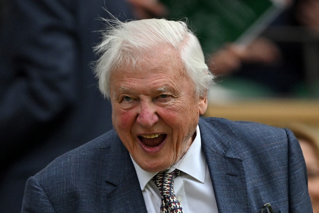 David Attenborough, a természetfilmek legendás alakja 100 éves lett